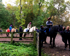 students developing skills with horses